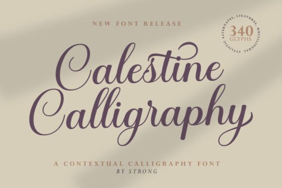calligraphy script font