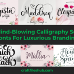 27 Mind-Blowing Calligraphy Script Fonts For Luxurious Branding