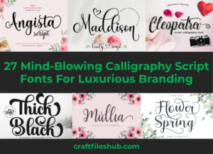 Read more about the article 27 Mind-Blowing Calligraphy Script Fonts For Luxurious Branding