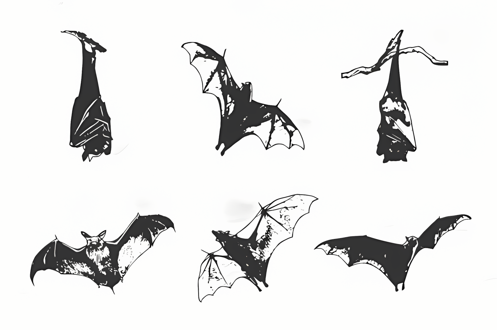 Vintage halloween bat clipart graphic in retro vector illustration style