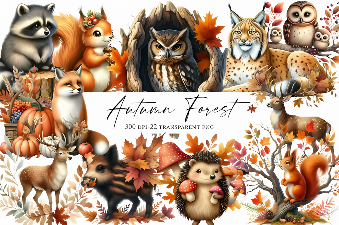 Detailed autumn forest clipart high resolution graphic set featuring fall trees and golden foliage.