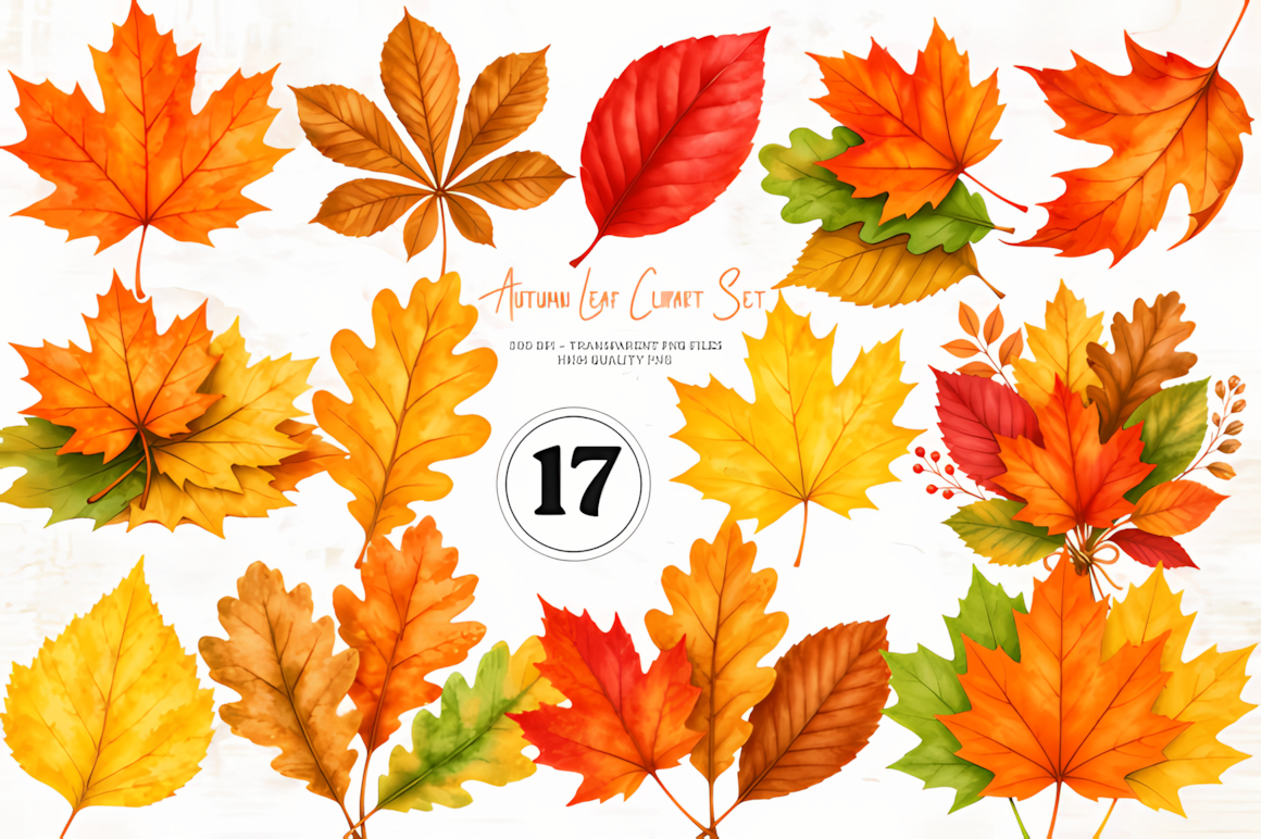 High resolution autumn landscape png leaf set with colorful fall foliage and transparent background.