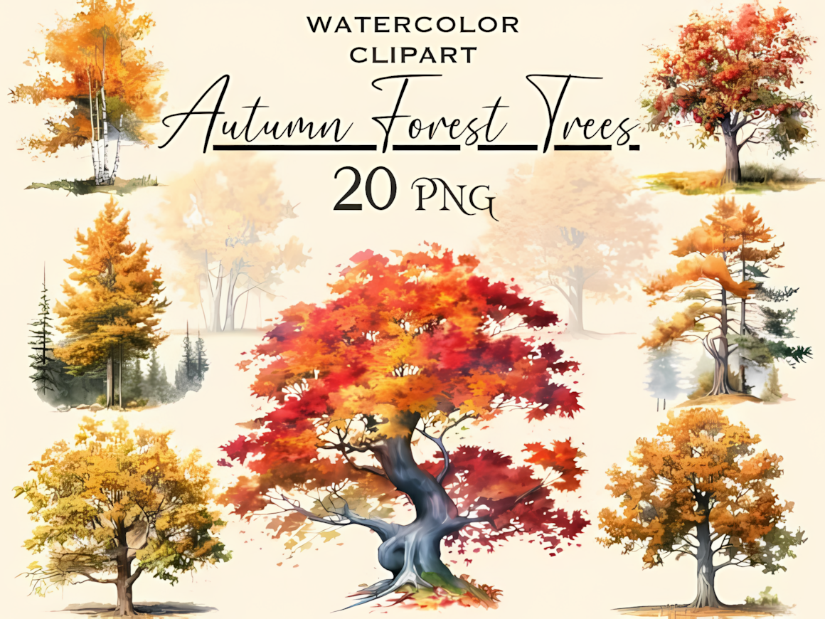 Detailed autumn forest clipart trees set with golden fall foliage and transparent background PNG files.