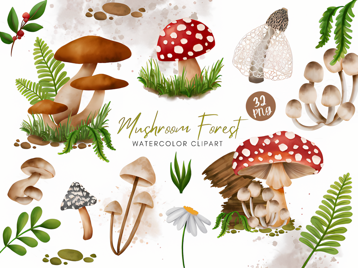 Vintage autumn mushroom clipart watercolor set featuring detailed forest fungi and botanical greenery elements.