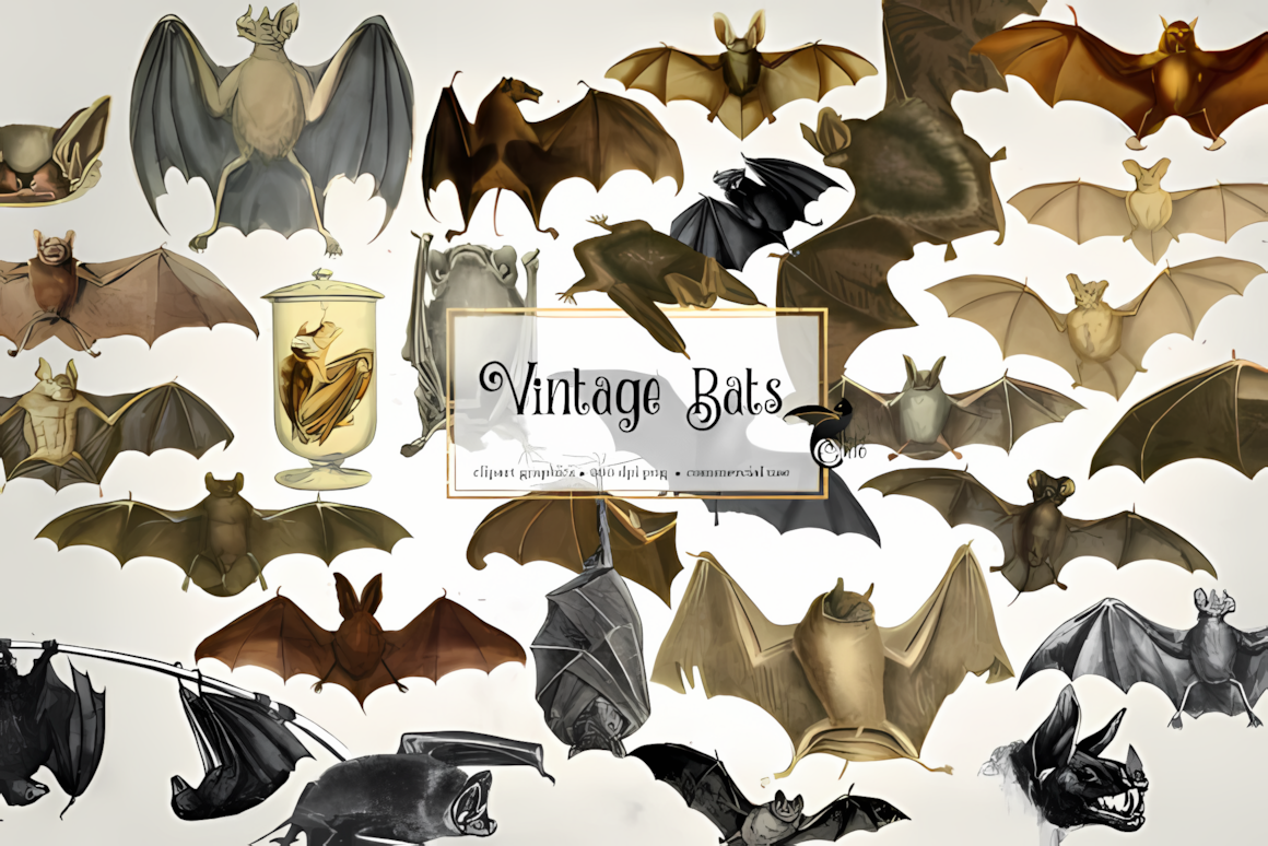 Antique style vintage bats clipart pack, individual high-res black bat illustrations