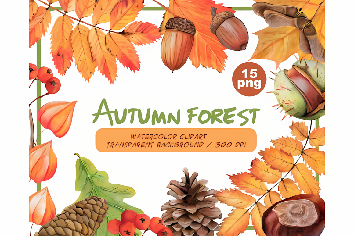 High resolution watercolor fall forest clipart png set with autumn foliage and transparent background.