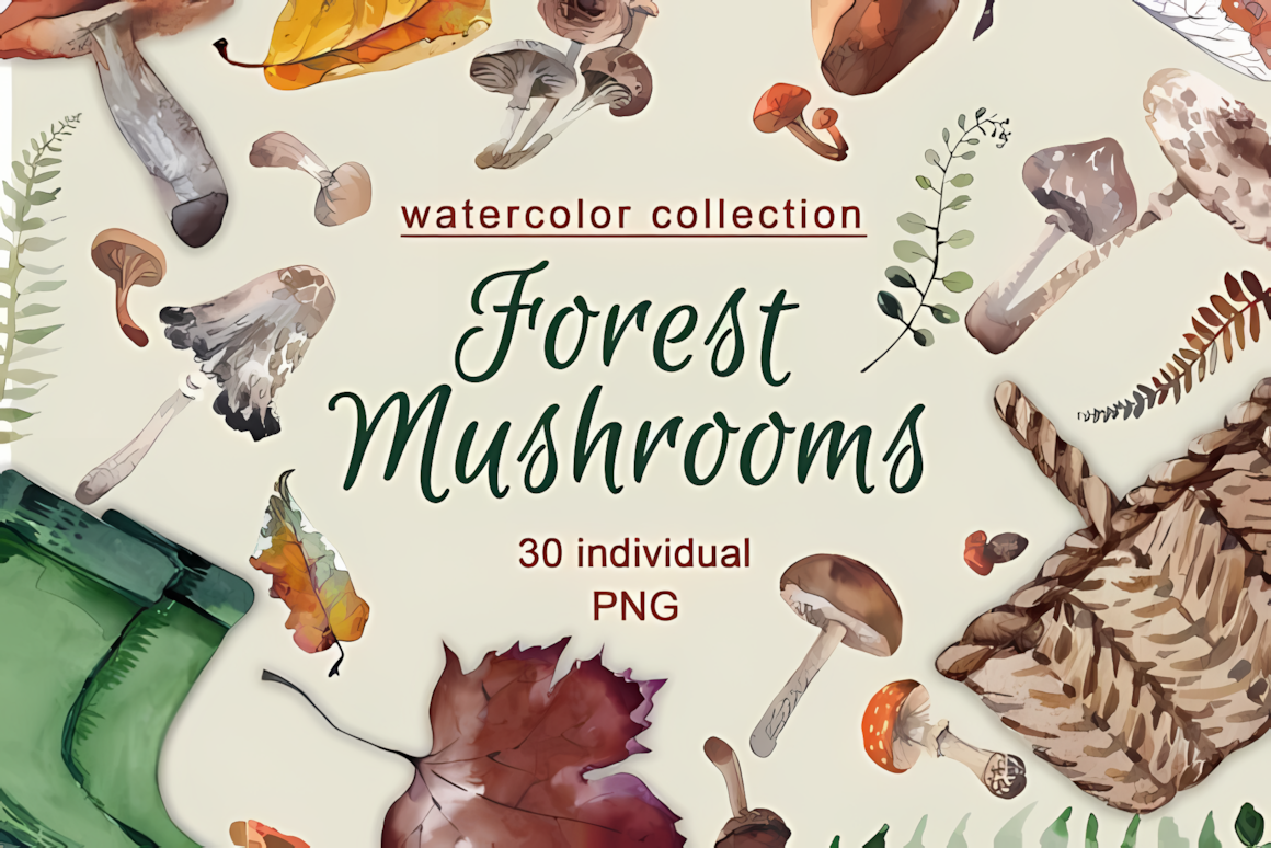 Detailed autumn mushroom clipart set featuring watercolor vintage forest fungi on transparent background.