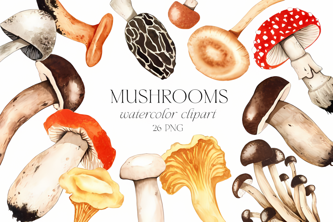 Cozy autumn mushroom clipart watercolor set featuring fall botanical foliage and forest fungi graphics.